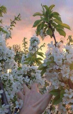 Истории про любовь .18+