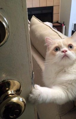 Учительница Педофайл