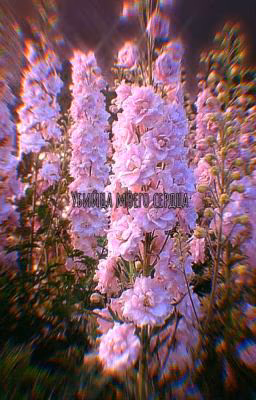 ❤️🥀🥵Убийца моего сердца❤️🥀🥵