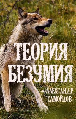 Теория безумия