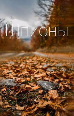 Шпионы