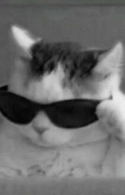 марадёры и Джессика