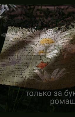 Только за букет ромашек
