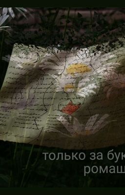 Только за букет ромашек