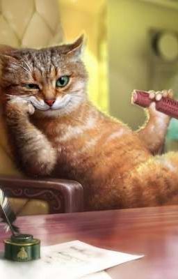 Интервью с Котом-Воителем