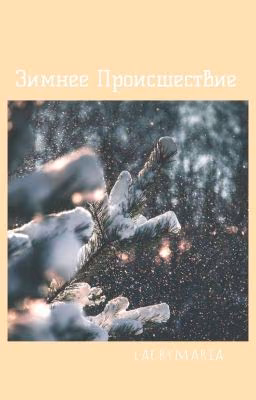 Зимнее Происшествие