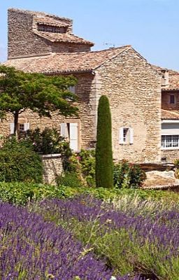 Питер Мейл. Год в Провансе