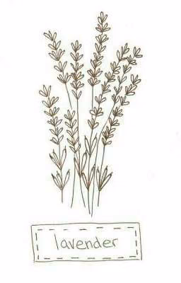 lavander~ ｛ред.｝