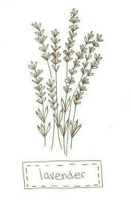 lavander~ ｛ред.｝