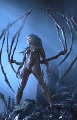 Starcraft 2Сборник рассказов