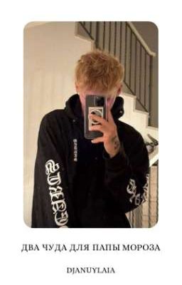 Два чуда для папы мороза D/J