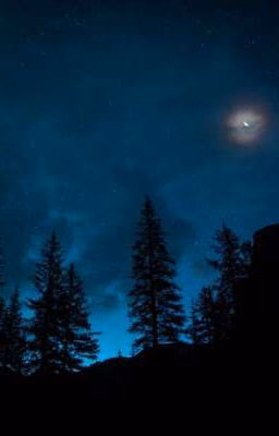 Witch | Witchcraft | Spells | Curses