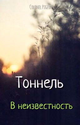 Тоннель в неизвестность