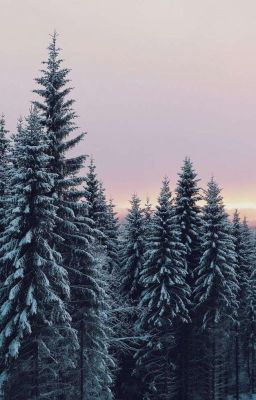 💚 philosophical thoughts of mine💚