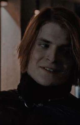 страдания птицы 