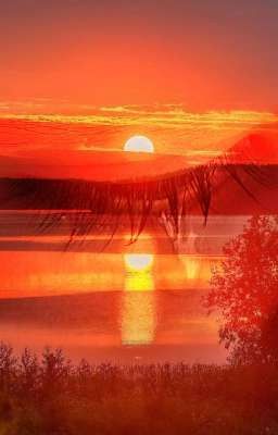 Мой опекун - мой враг