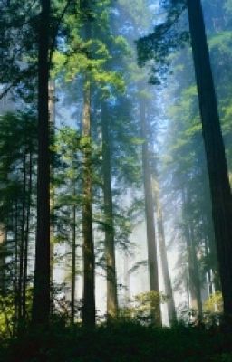 Выживи Или Умри