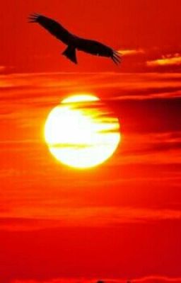 Бесконечный теракт