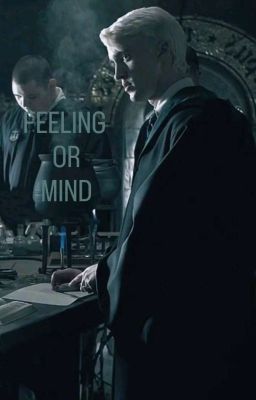 Чувство или разум