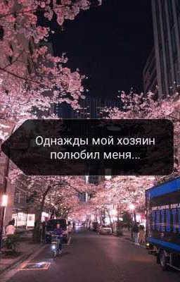 Однажды мой хозяин полюбил меня...