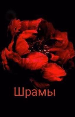 Шрамы