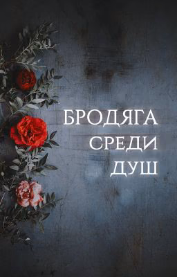 Бродяга среди душ