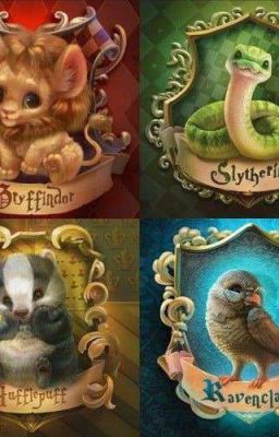 Попаданцы в мир "Гарри Поттера" 