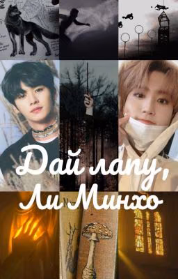 Дай лапу, Ли Минхо | Stray Kids