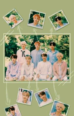 реакции BTS