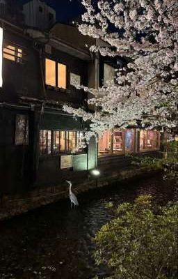 жуткий побег