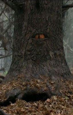 Что там, в лесу?