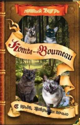 ||Судьба, Покрытая Ночью||