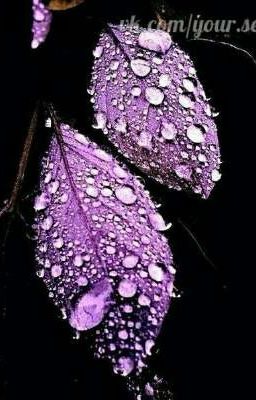 Не надо забывать...