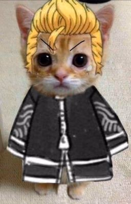 Кошак)