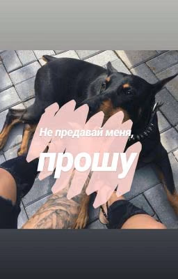 Не предавай меня , прошу