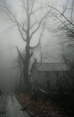 Dark Dream