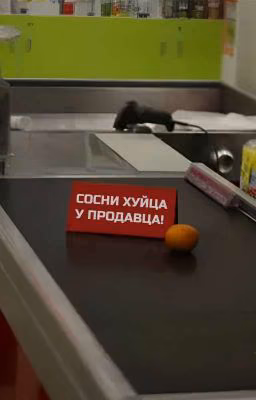 Сосни хуйца у продавца!