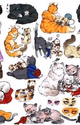 𖦆 ۪ 𓆩♡𓆪 ۫ Добро пожаловать в реакцию кото-кофе!!