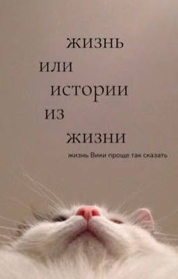 истории из моей жизни или просто моя жизнь