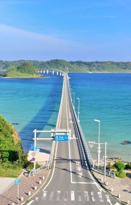 Залётный отпуск [Юнмины]