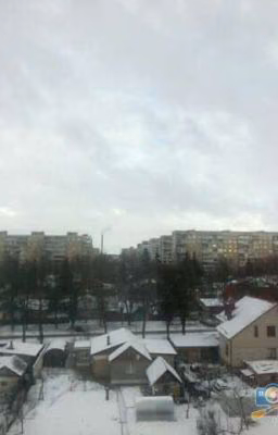 Случай с нашего двора