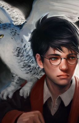 Гарри Поттер и долги совести.