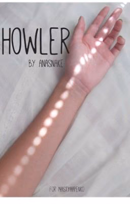 Howler [смехотворная ошибка] | L.T.