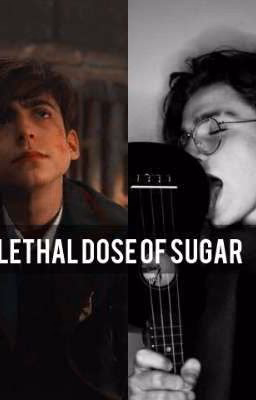 🐾Lethal dose of sugar🐾
