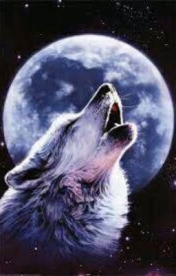 †Wolf Life†