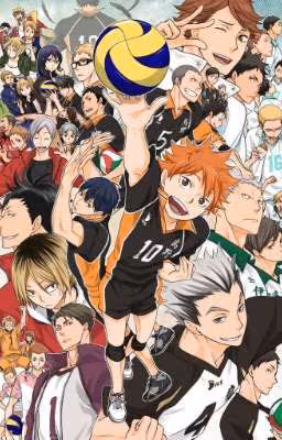 haikyuu and male/y/n