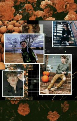 Ангел или демон?🤔