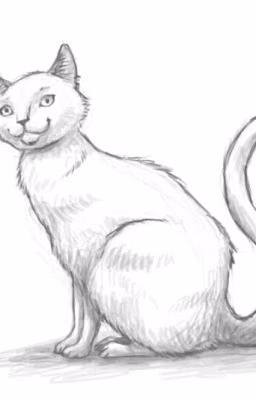 Neon Cat