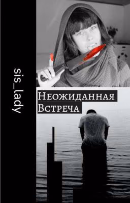 Неожиданная встреча