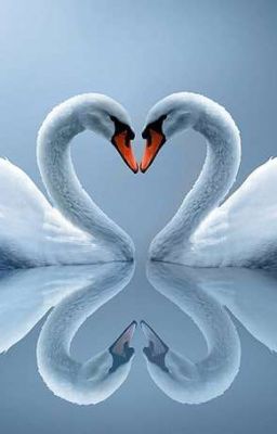 Закон подлости. Какаши и Т/И.